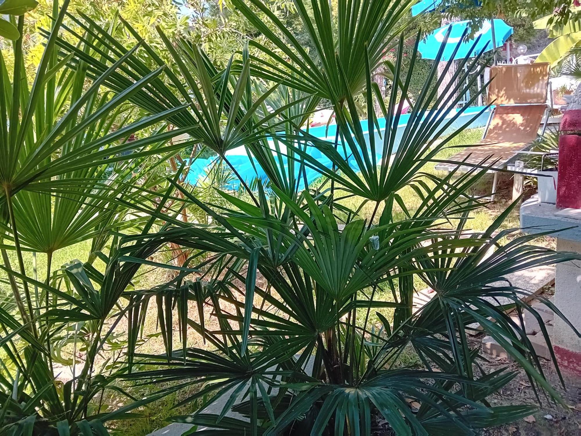 Sogno Vacanze Apartment Massa  Ngoại thất bức ảnh