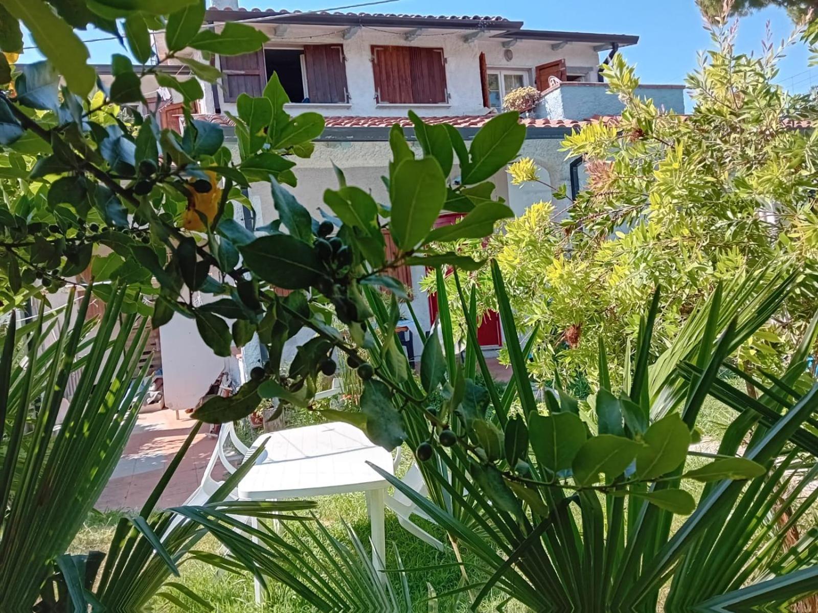 Sogno Vacanze Apartment Massa  Ngoại thất bức ảnh